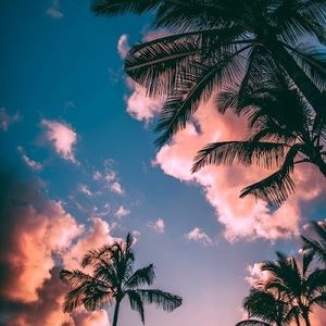 Meet your Posher, Destiny